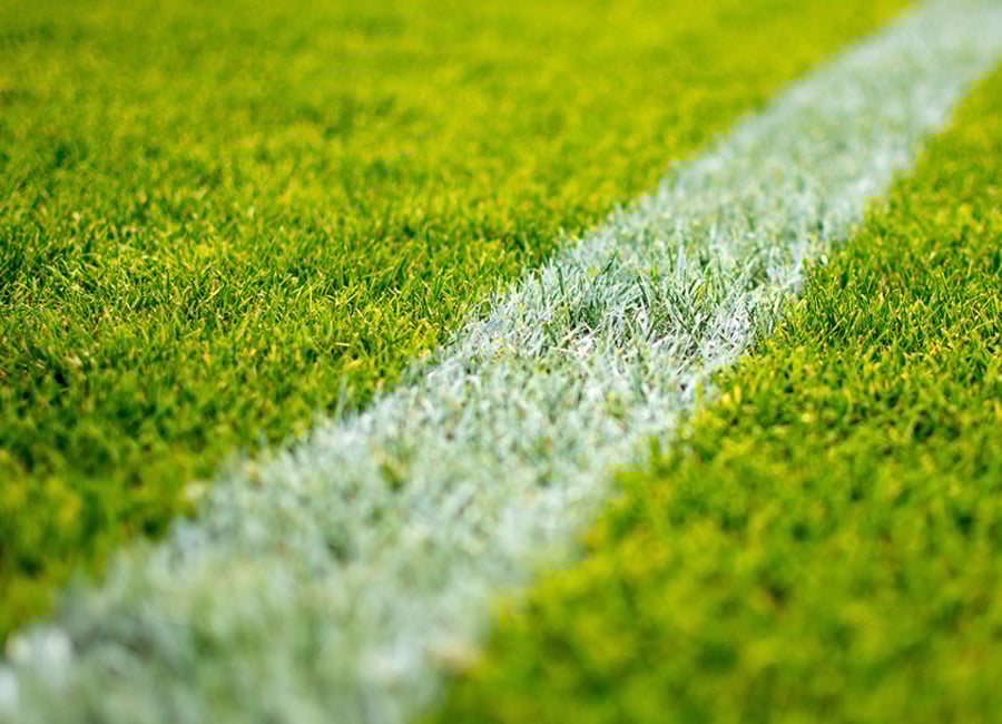 Fußballrasen